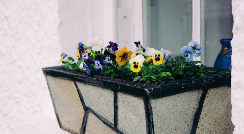 Photo of Beagh Cottage