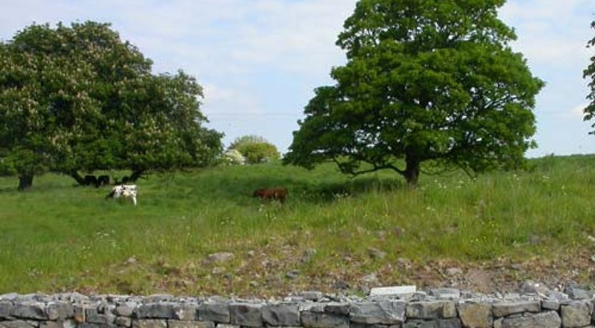 Photo of Lighthouse Lodge