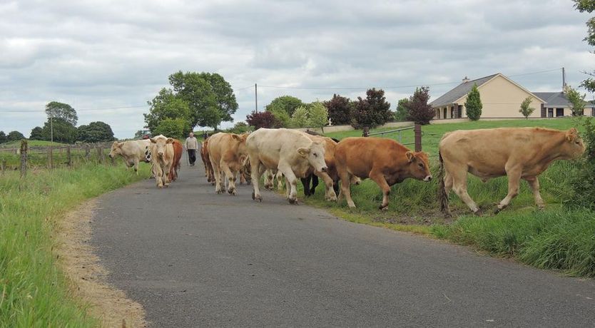 Photo of Green Acres Self Catering