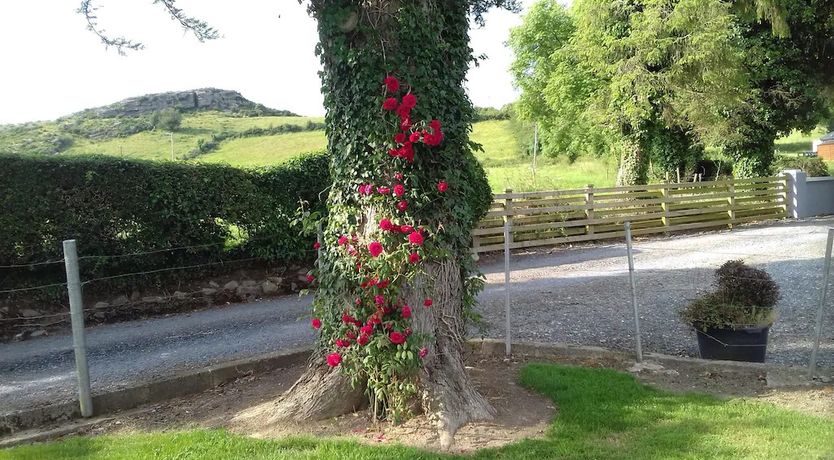 Photo of Carrigmore Farm