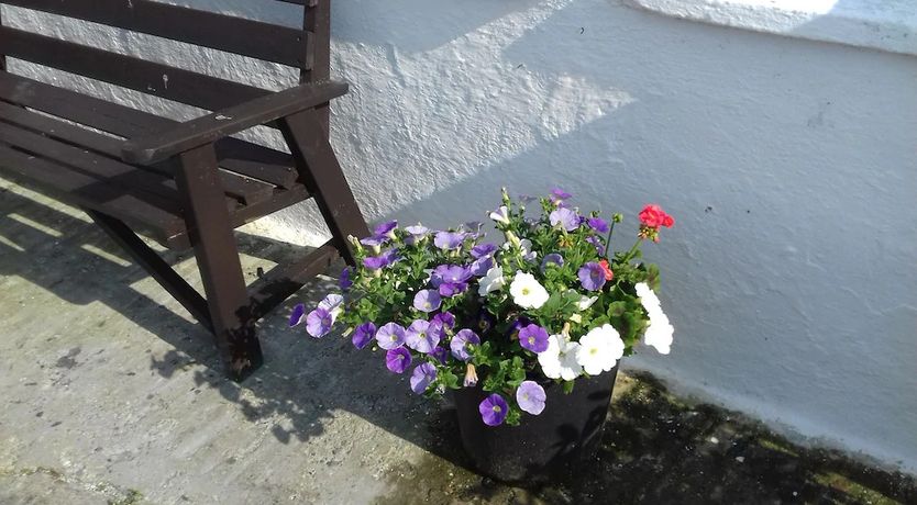 Photo of Carrigmore Farm