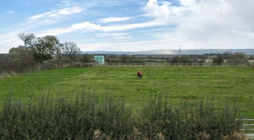 Photo of Lillieput Lodge